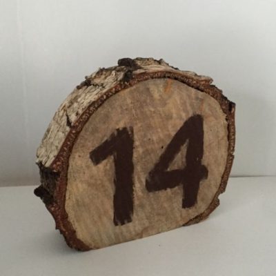 Birch Log Table Number